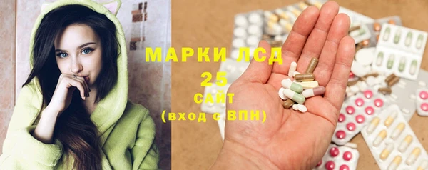 дживик Майский