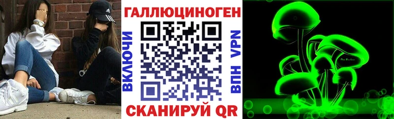 Галлюциногенные грибы мицелий  Ленинградская 